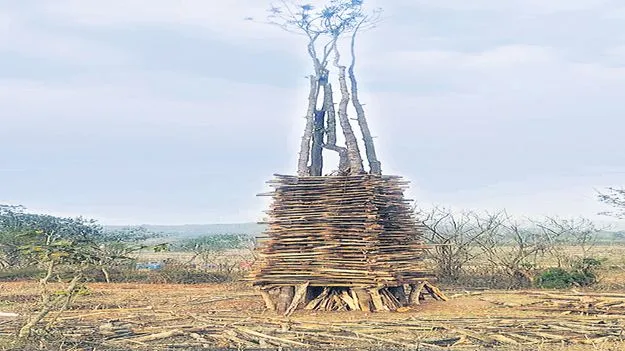 హోలీ జాతరకు ముస్తాబు