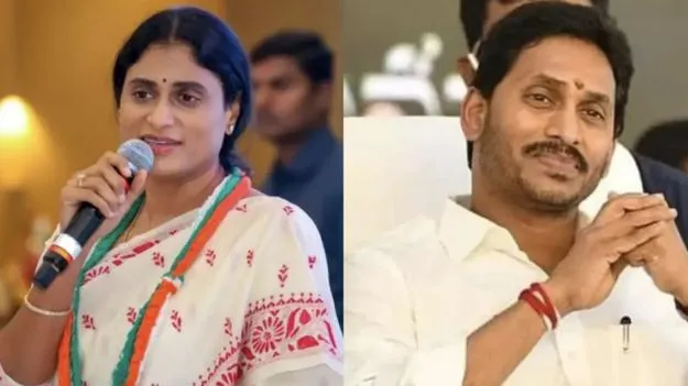 వైసీపీ పాలనలో విచ్చలవిడిగా డ్రగ్స్‌
