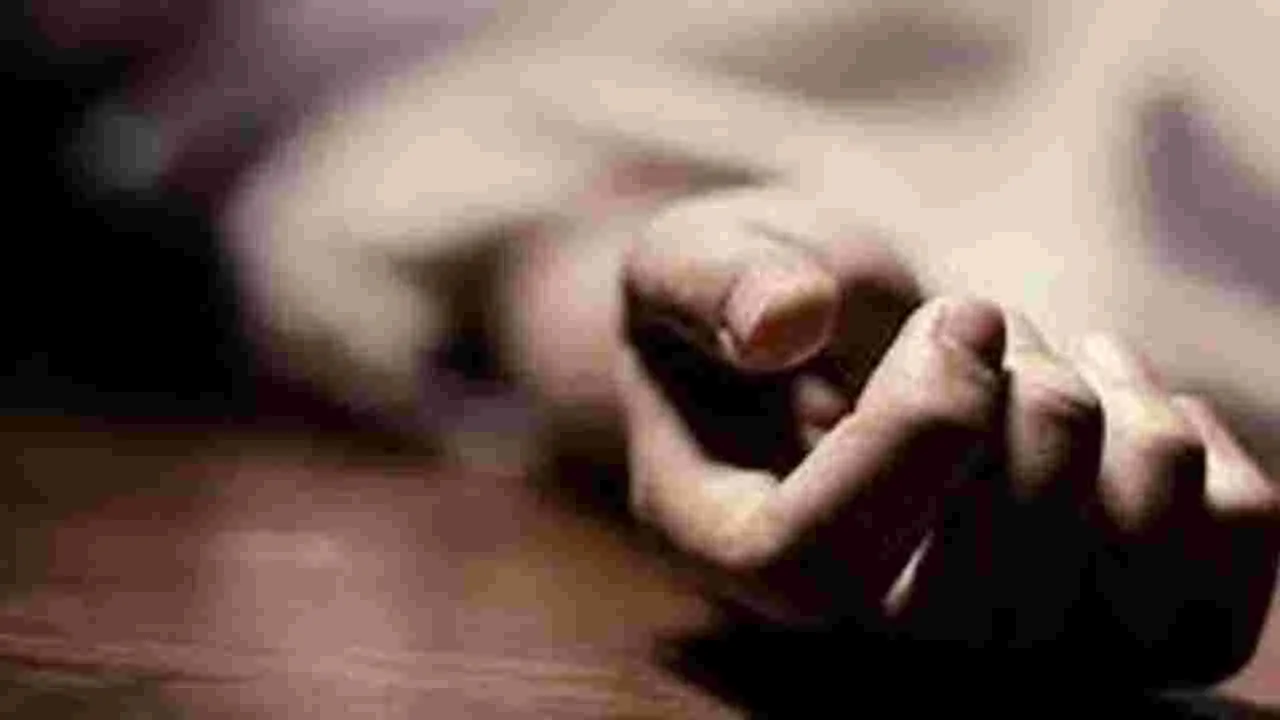 టీవీ సౌండ్‌ తగ్గించమన్నందుకు చంపేసింది!