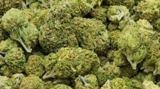 వెయ్యి కిలోల గంజాయి స్వాధీనం.. ఐదుగురి అరెస్టు