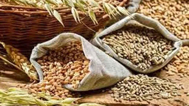 ఆహార ధాన్యాల ఉత్పత్తిలో ఐదో స్థానంలో రాష్ట్రం