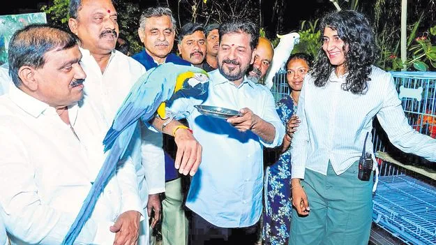 నిరాశ్రయుల్ని చేయం