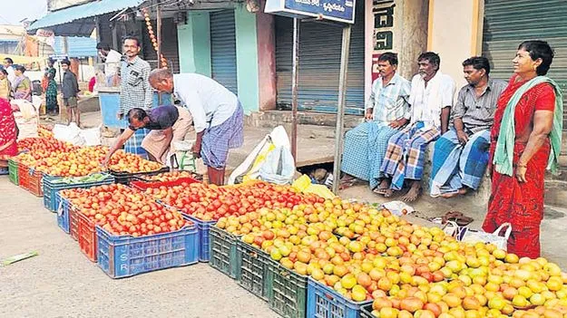 టమాటా రైతు కుదేలు