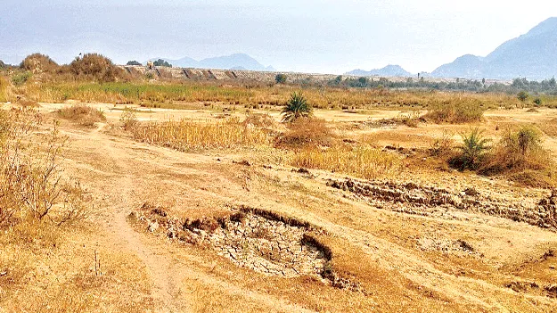 ఇక ఆఫ్‌‘జోర్‌’