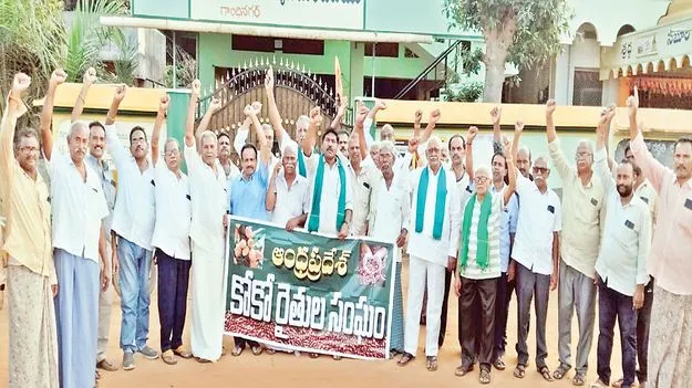 వారంలోగా కోకో ధరల పాలసీ ప్రకటించాలి