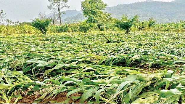 ఈదురుగాలుల బీభత్సం