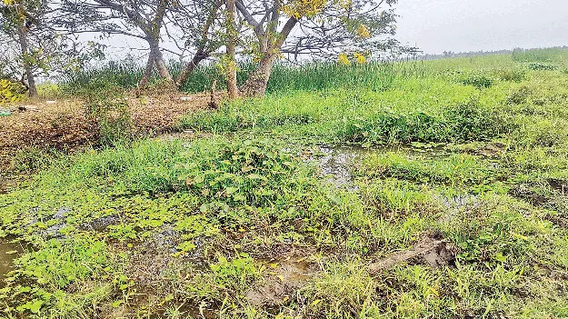 సొంతింటి కలే..!