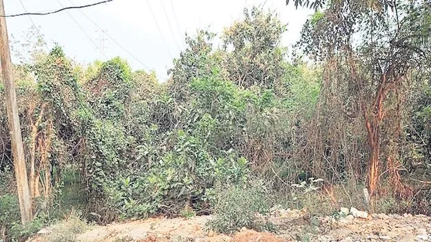 ఆలయ మాన్యానికి టెండర్‌?