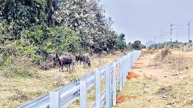 రైల్వే శాఖ రక్షణ చర్యలు