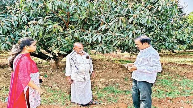 సస్యరక్షణ చర్యలు చేపట్టండి 