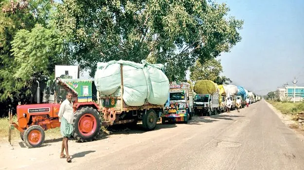 పత్తి..దిగుమతి కత్తి..!