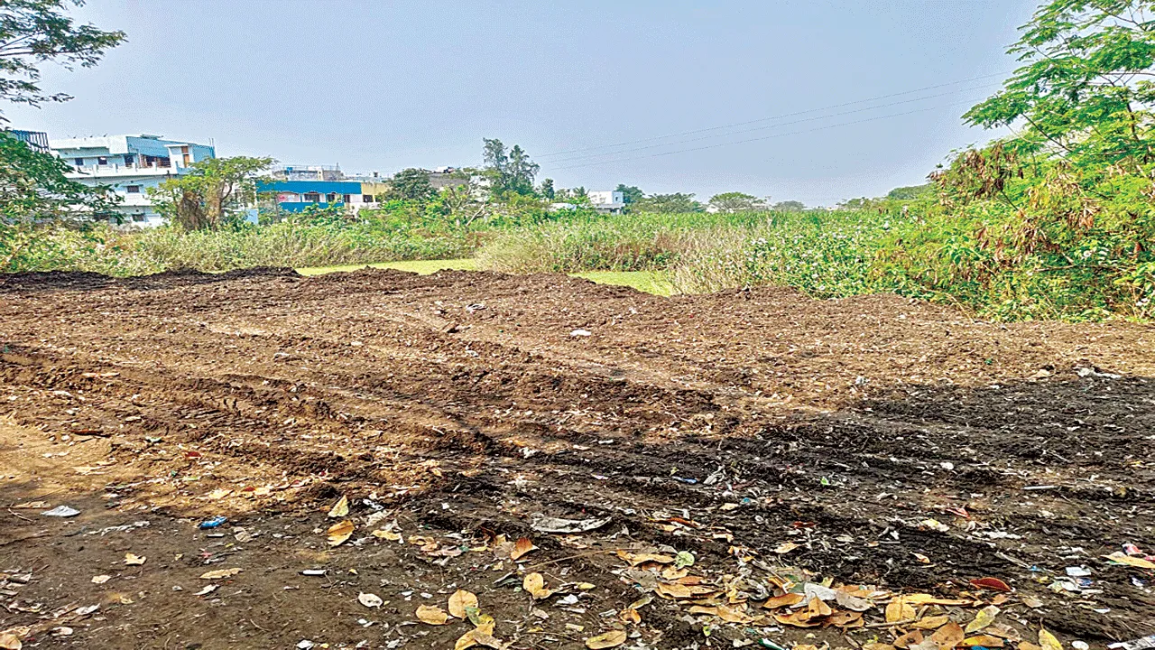 Why Are They Doing This? ఇలా ఎందుకు చేస్తున్నారో?