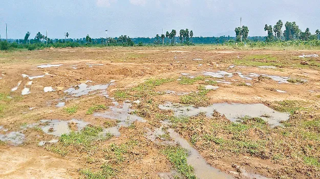 సగం డీపట్టా.. సగం జిరాయితీ