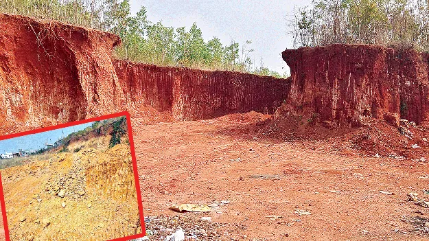 దేన్నీ వదలం!