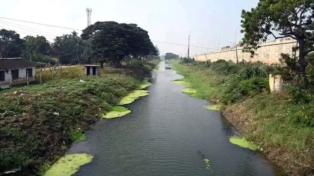 సాగు నీరు పుష్కలం