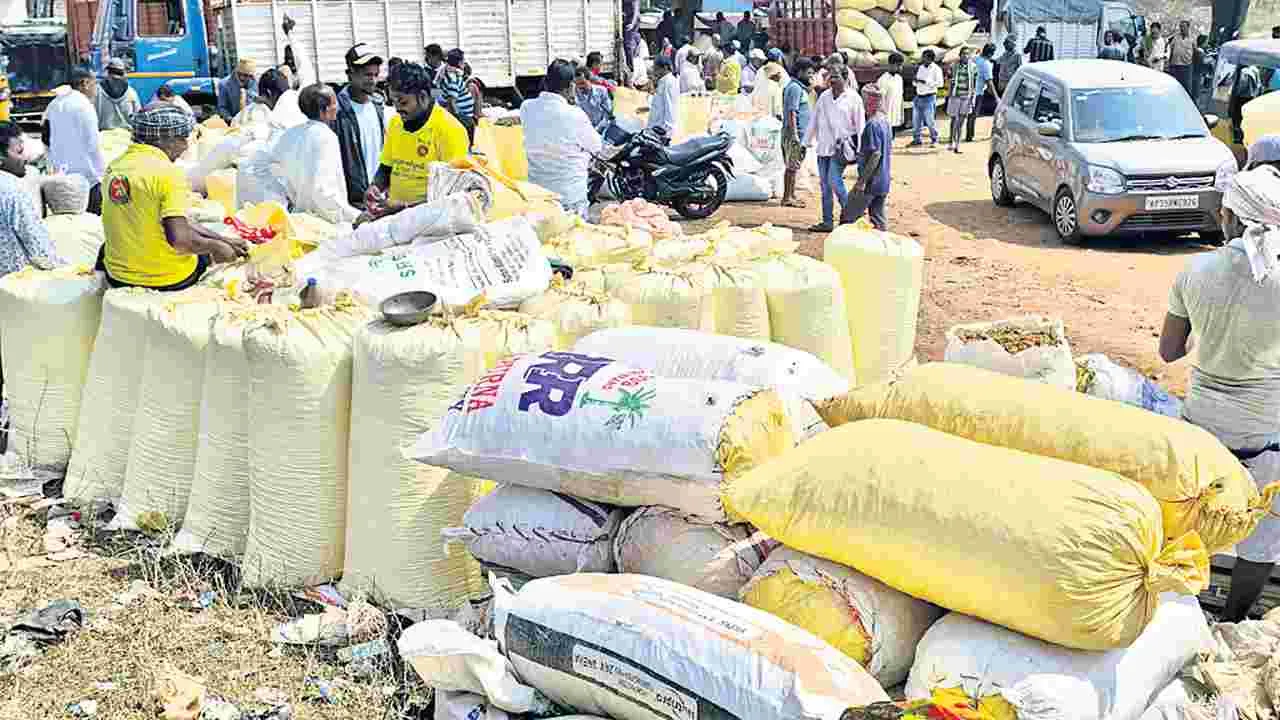 పసుపు కొనుగోళ్ల ఆరంభం అదుర్స్‌