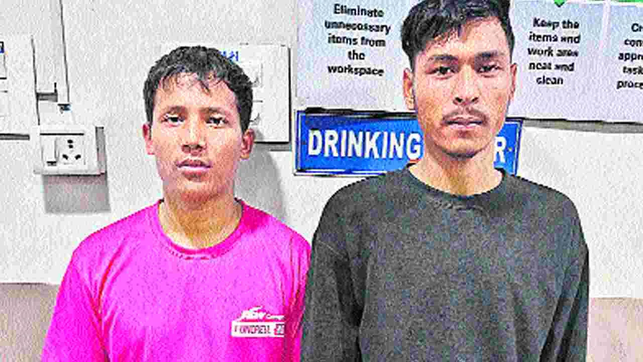 దొంగతనం కోసమే పనిమనిషి ఉద్యోగం!