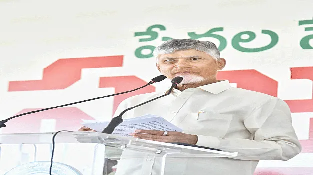 CM Chandrababu: కార్యకర్తల కష్టాన్ని వృథా కానివ్వం