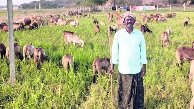  చివరికి నీరేదీ?