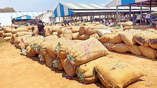 కర్నూలు మార్కెట్‌ యార్డు రికార్డు 