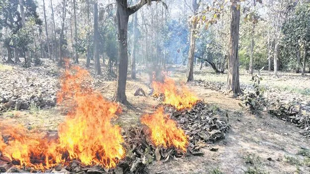 kumaram bheem asifabad- నిప్పు ముప్పు 