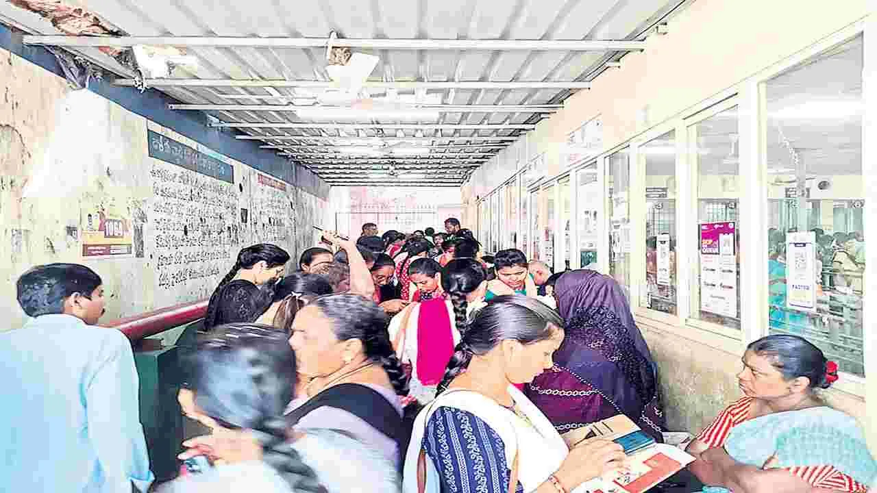 పెద్దాస్పత్రిలో పాట్లు