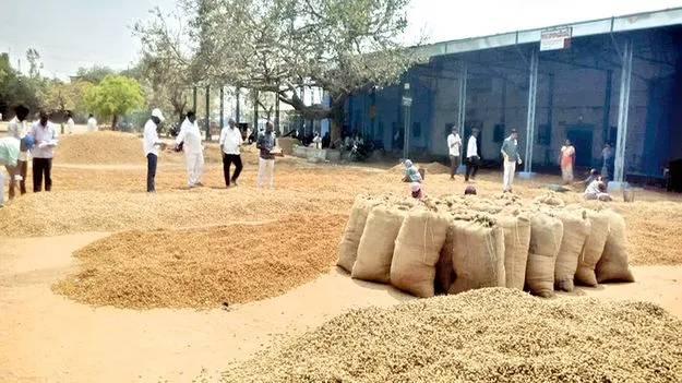 వేరుశనగ ధర పతనం