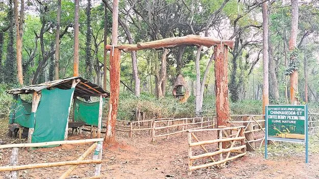 నిర్వహణ లోపంతో నిరాదరణ