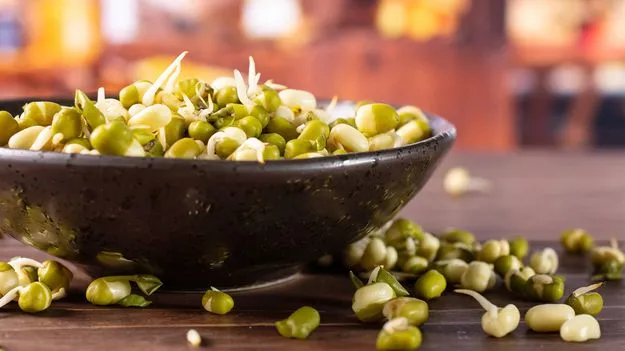 మొలకల్లో మతలబులు