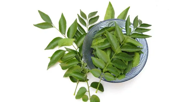 కరివేపాకు తాజాగా...