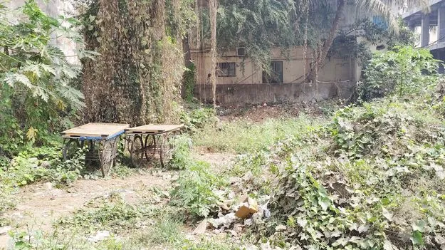 అంతా మా ఇష్టం