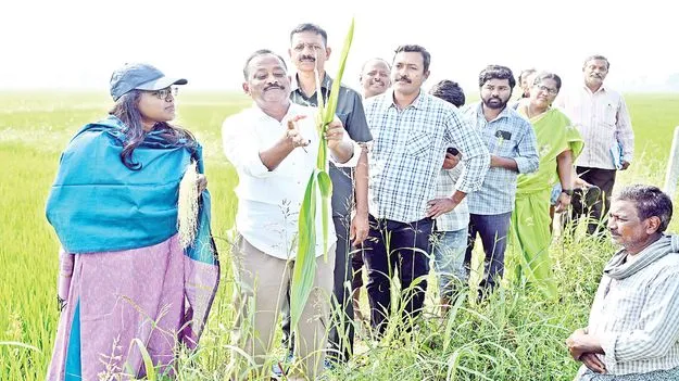 నివేదికలు సిద్ధం చేయండి