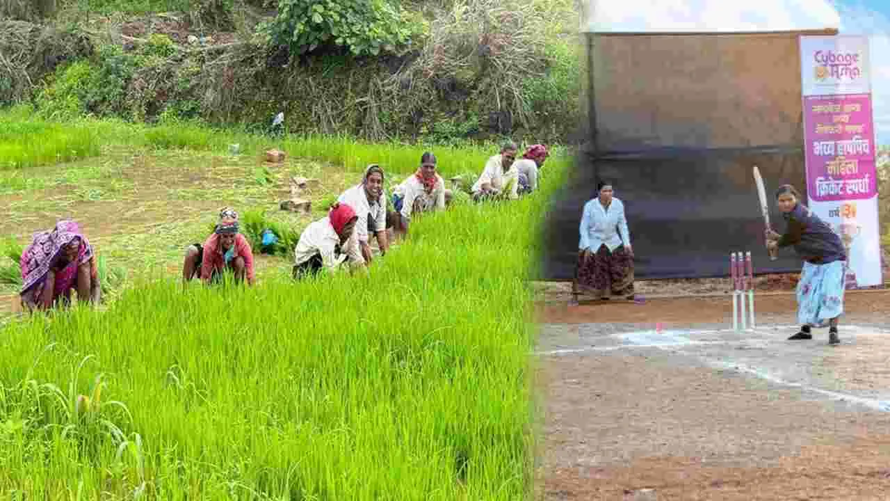 పొలం గట్టుపై సిక్సర్‌!