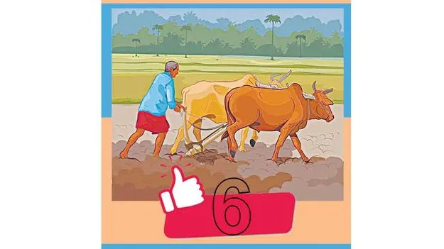 సిఫారసులు అమలైతే చాలు కౌలు రైతు గట్టెక్కినట్టే!