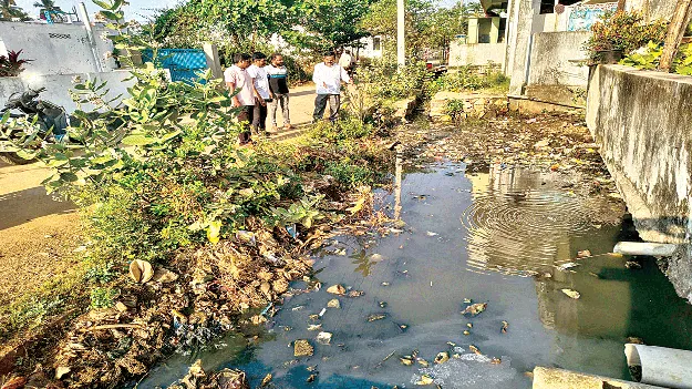 నీటి ఎద్డడి నివారణకు జాగ్రత్తలు
