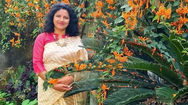 చెదిరిన గూళ్లను మళ్లీ సృష్టించారు