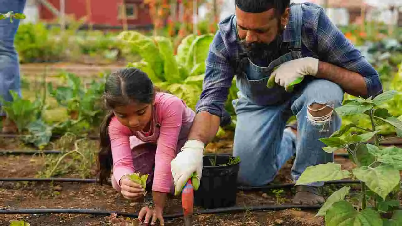 పిల్లల కోసం స్క్రీన్ ఫ్రీ యాక్టివిటీస్‌