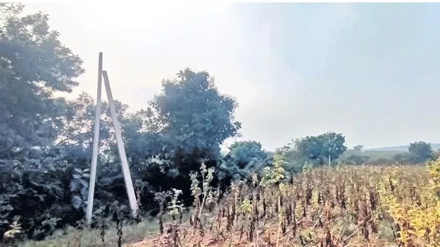 పొలాల్లోని ట్రాన్స్‌ఫార్మర్లు పాడైతే మేమే తరలిస్తాం