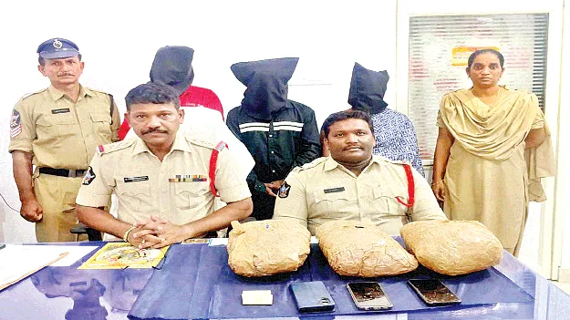 గంజాయి అమ్మి లాభాలు పొందొచ్చని..