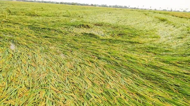 కష్టపరిహారం