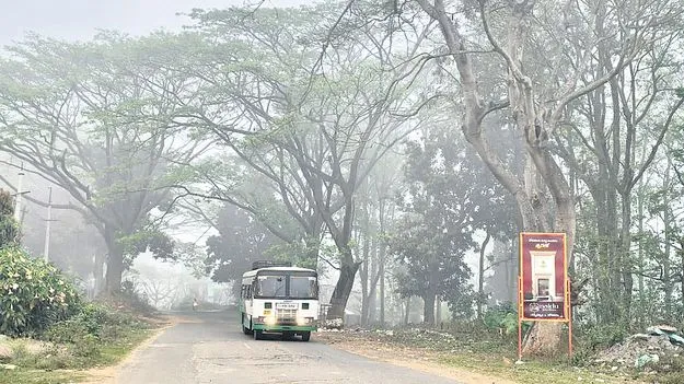 మన్యంలో భిన్న వాతావరణం