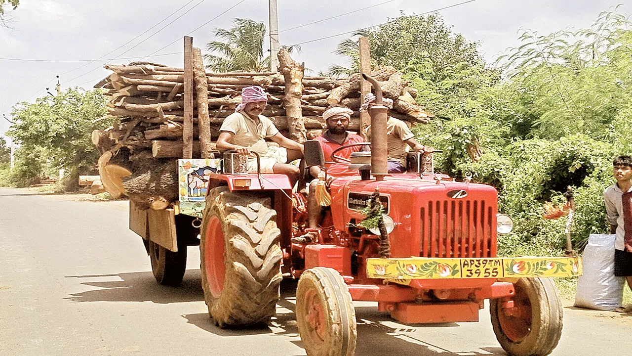 అడ్డంగా నరికేస్తున్నారు!