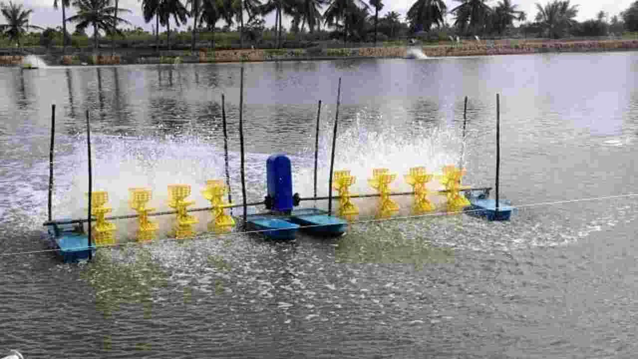 ఆక్వా రైతులు ఎక్కడ?