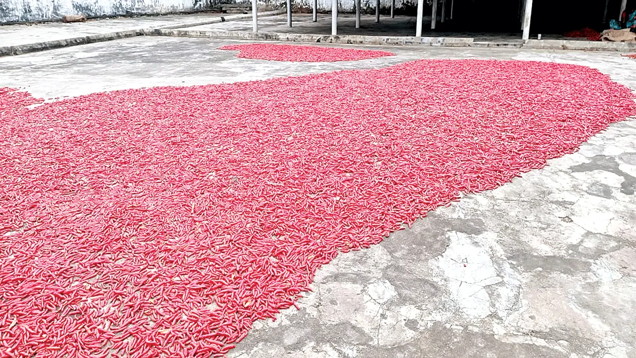 ధర భళా.. సాగు డీలా