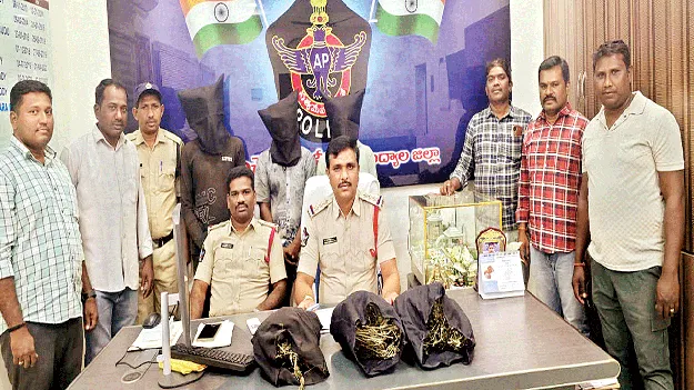 గంజాయి స్వాధీనం.. ముగ్గురి అరెస్టు