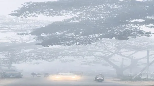 మన్యంపై మంచు ముసుగు