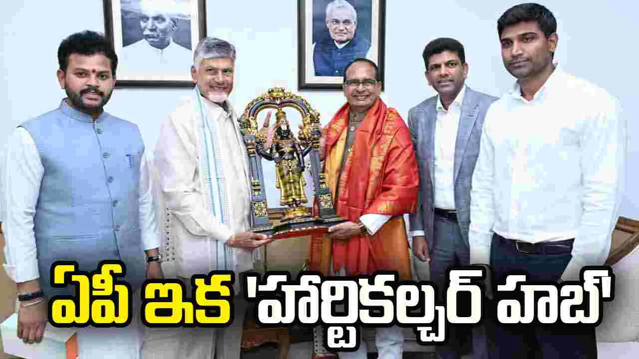 ఢిల్లీలో కేంద్ర గ్రామీణాభివృద్ధిశాఖ మంత్రి శివరాజ్ సింగ్ చౌహాన్‌ తో సీఎం చంద్రబాబు భేటీ