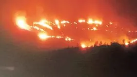 అరకులోయలో అగ్నిప్రమాదం.. గిరిజన రైతు కాఫీ తోట దగ్ధం