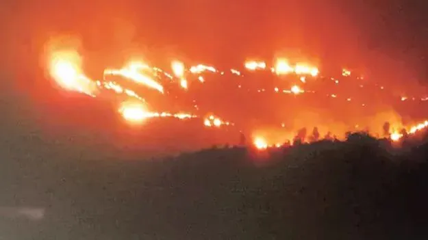 అరకులోయలో అగ్నిప్రమాదం.. గిరిజన రైతు కాఫీ తోట దగ్ధం