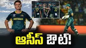 టీ20 ప్రపంచ కప్: ఆస్ట్రేలియా కథ ముగిసినట్లేనా? 